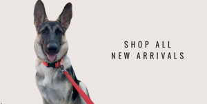 SHOP-ALL-NEW-ARRIVALS-TODAY